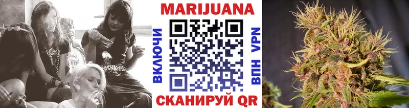 Где найти наркотики Иннополис Конопля  Alpha PVP  ГАШИШ  Псилоцибиновые грибы  Кокаин 