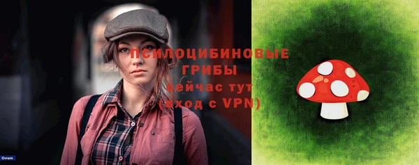 ГАЛЛЮЦИНОГЕННЫЕ ГРИБЫ Михайловка