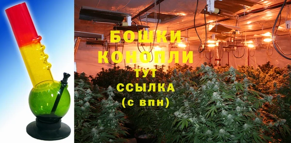 ПСИЛОЦИБИНОВЫЕ ГРИБЫ Мегион