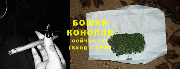 стаф Алагир