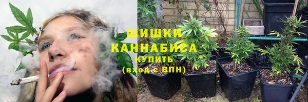 ГАЛЛЮЦИНОГЕННЫЕ ГРИБЫ Михайловка